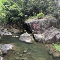 評論圖片 4