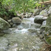 評論圖片 2