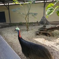 評論圖片 9