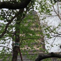 評論圖片 8