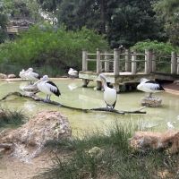 評論圖片 6