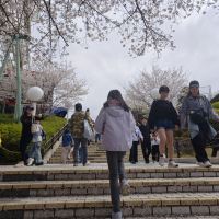 評論圖片 3