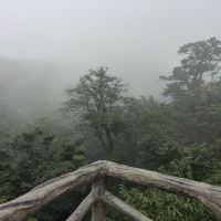 評論圖片 7