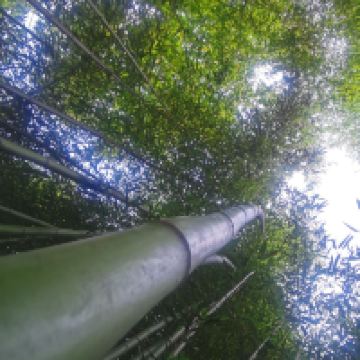 評論圖片 8