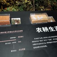 評論圖片 8
