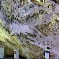 評論圖片 6