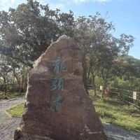 評論圖片 1