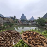 評論圖片 4