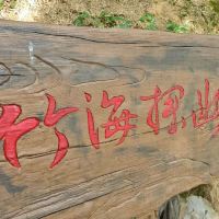 評論圖片 3