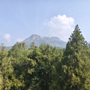 評論圖片 5