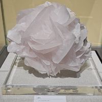評論圖片 2