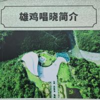 評論圖片 1