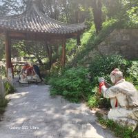 評論圖片 4