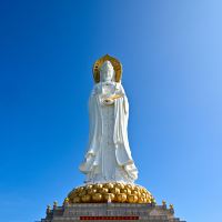 評論圖片 7