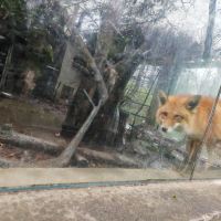 評論圖片 3