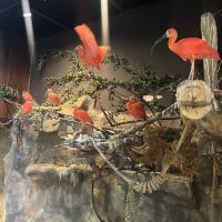 評論圖片 2