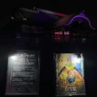 評論圖片 8
