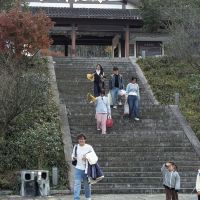 評論圖片 1
