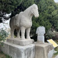 評論圖片 4