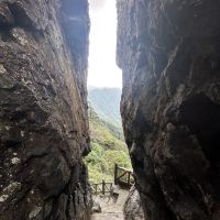 評論圖片 5