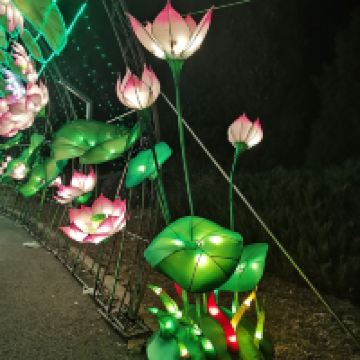 評論圖片 8