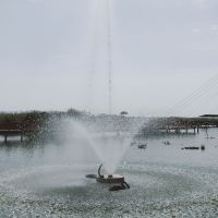 評論圖片 1