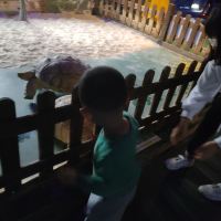 評論圖片 4