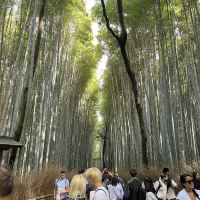 評論圖片 6