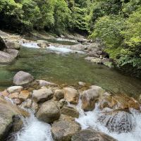 評論圖片 4