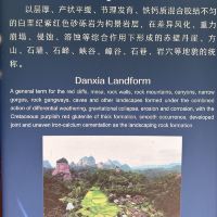 評論圖片 3