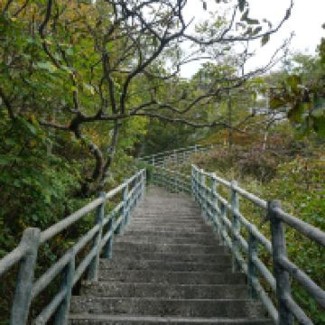 評論圖片 3