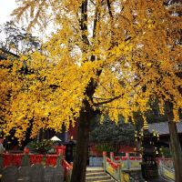 評論圖片 7