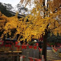 評論圖片 6