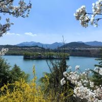 評論圖片 1