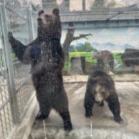評論圖片 5