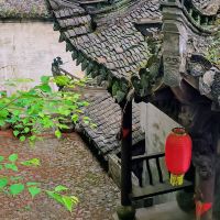 評論圖片 7