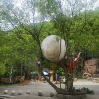 評論圖片 7