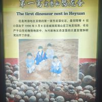 評論圖片 1