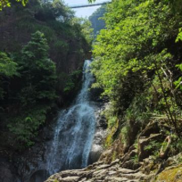 評論圖片 4