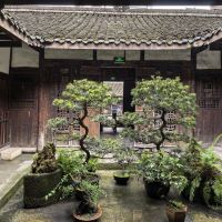 評論圖片 6