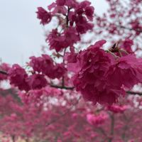 評論圖片 3
