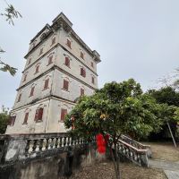 評論圖片 6