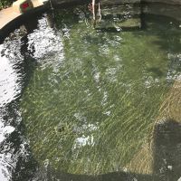 評論圖片 6