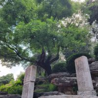 評論圖片 7