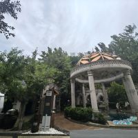 評論圖片 6