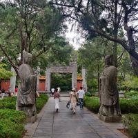 評論圖片 4