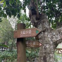 評論圖片 4