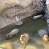 評論圖片 5