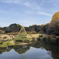 評論圖片 7