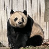 評論圖片 5